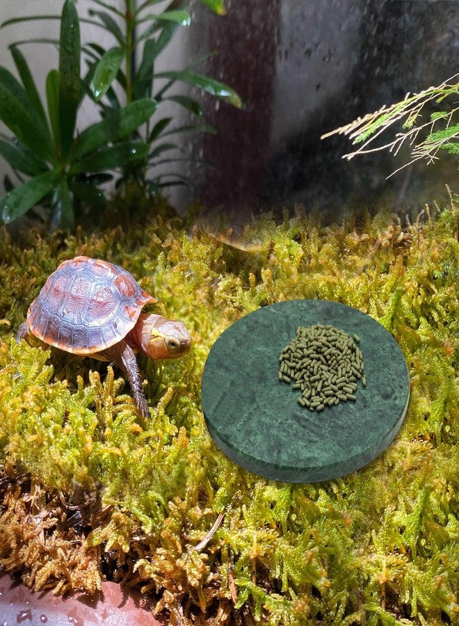 Oooct Reptile Basking Platform, 5.9 inch Natural Marble Tortoise Feeding Slate, Rock Food Bowl for Turtle Lizard Bearded Dragon Gecko Snake Hermit Crab, Tank Aquarium Terrarium Habitat Decor - Image 3